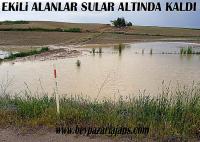 Şiddetli Yağmur, Beypazarı’nın bazı alanlarındaki ekili tarlalarda hasara neden oldu.