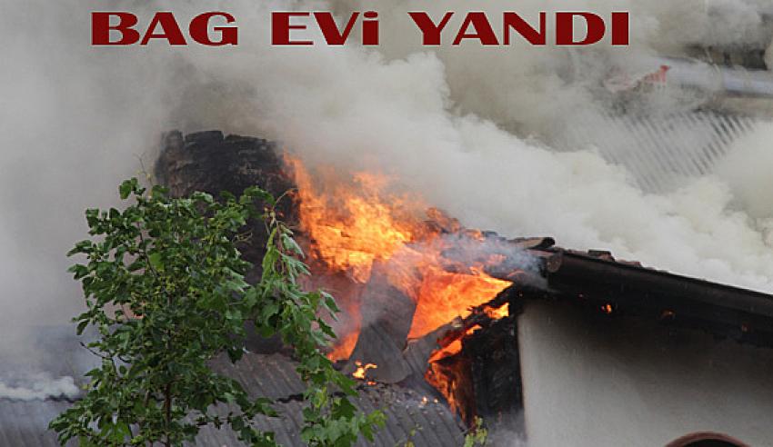Beypazarı İlçesinde bir araç  ve bir bağ evi yandı: