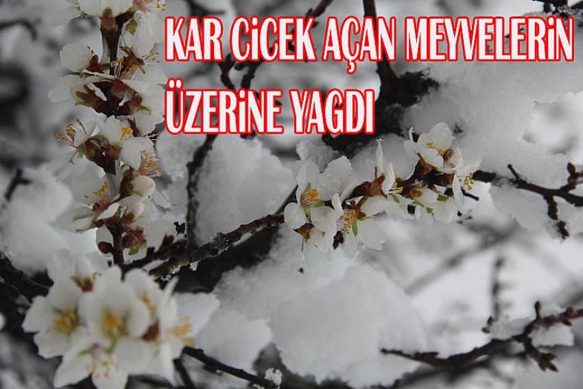 Yaz geldi derken, kar yağışıyla yüksek kesimler beyaza bürüdü