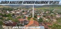 Adaören mahallesinde Hayvancılık konusunda bilgilendirme yapılacak: