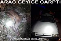 Beypazarı İlçesinde meydana gelen trafik kazasında, bir geyik telef oldu.