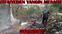 Rüstempaşa mahallesinde meydana gelen ot yangınında, bağ evleri büyük tehlike atlattı: