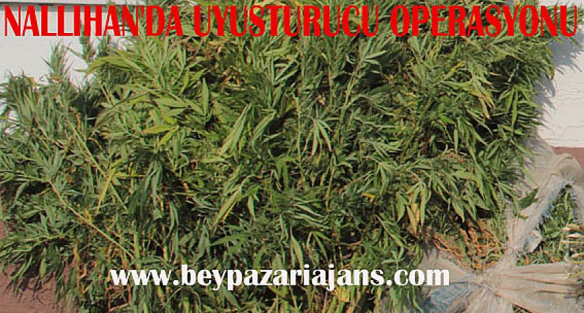 Nallıhan Emniyetinden ilçede Uyuşturucu operasyonu: